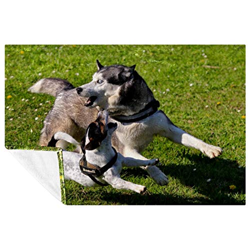 Jeté de lit Husky contre le froid pour canapé, camping et plage