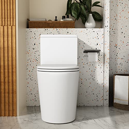 GIVINGTREE Dual-Flush Elongated One-Piece Toilet with System Silent & Powerful Upflush for Basement to Bathroom sink & Tub