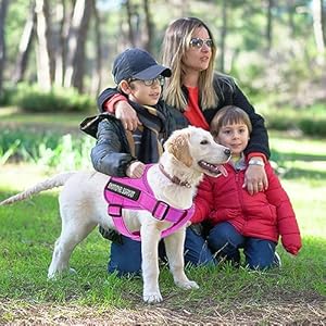 voopet Service Dog Harness, Emotional Support Pet Vest Harness, Reflective Breathable and Adjustable No-Pull ESA Dog Harness for Small Medium Large Dogs (with 4 PCS Removeable Tags)