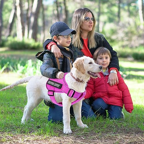 voopet Service Dog Harness, Emotional Support Pet Vest Harness, Reflective Breathable and Adjustable No-Pull ESA Dog Harness for Small Medium Large Dogs (with 4 PCS Removeable Tags) voopet Service Dog Harness, Emotional Support Pet Vest Harness, Reflective Breathable and Adjustable No-Pull ESA Dog Harness for Small Medium Large Dogs (with 4 PCS Removeable Tags)