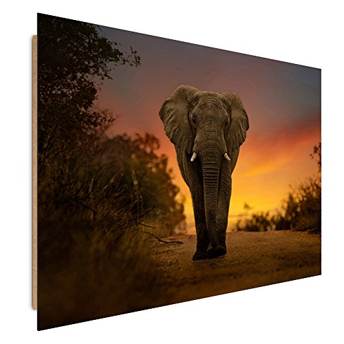 Feeby Frames, Tableau Mural, Tableau Déco, Tableau imprimé, Tableau Deco Panel, 60x90 cm, Vue, Savane, ÉLÉPHANT, Afrique, Coucher DE Soleil, Bleu, Orange