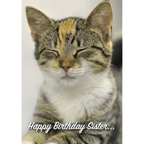Happy Birthday Sister Cute Cat Card 125mm x 178mm Including Envelope DG056 Cover