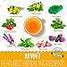 REVIVT Colon Detox Tea, All Natural Colon Cleanse Tea with Senna, Dandelion, Peppermint, Support Gut and Digestive Health for Women and Men, Non GMO, 14 Day Supply