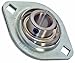 SBPFL204-12 Flanged Mounted Bearing, 2 Bolt, 3/4" Inside Diameter, Set screw Lock, Cast Iron, Inch