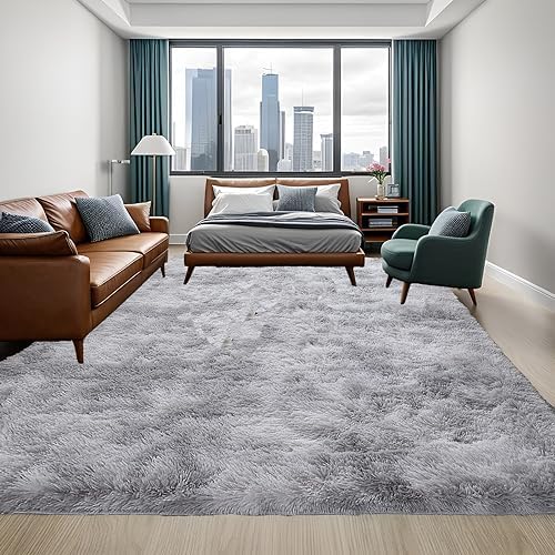 Area Rugs for Bedroom Living Room Ultra Soft Modern Fluffy Throw Carpets for Girls Boys Kids Room Shaggy Fluffy Rugs (2X3Feet, Water Gray)