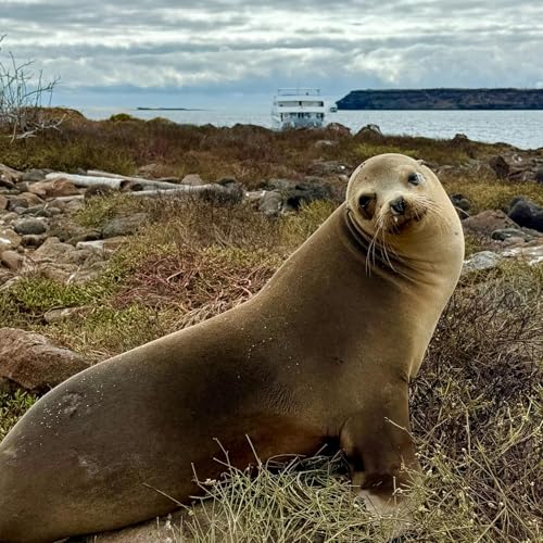 #172: Exploring Gal&aacute;pagos National Park