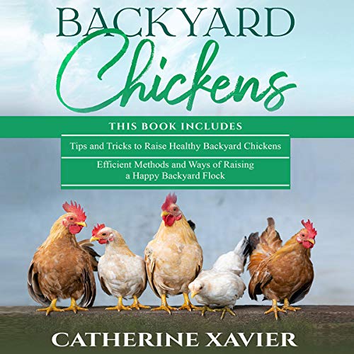 How to Raise Chickens in Your Own Backyard DIY Chicken Coop Plan How to Breed and