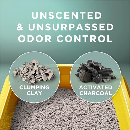 Purina Tidy Cats Free and Clean Unscented Clumping Cat Litter, 16 lb Bag | Activated charcoal formula delivers powerful odor absorption in an easy-pour design - Image 6