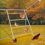 Chicken Roosting Bar, Large Chicken Perch for Coop,Easy to Installation&Clean,Roosting Perch,Roosting Bars for Chickens in Coop,Poultry Toys for Backyard,Poultry coop Accessories(56' L X 39' W)