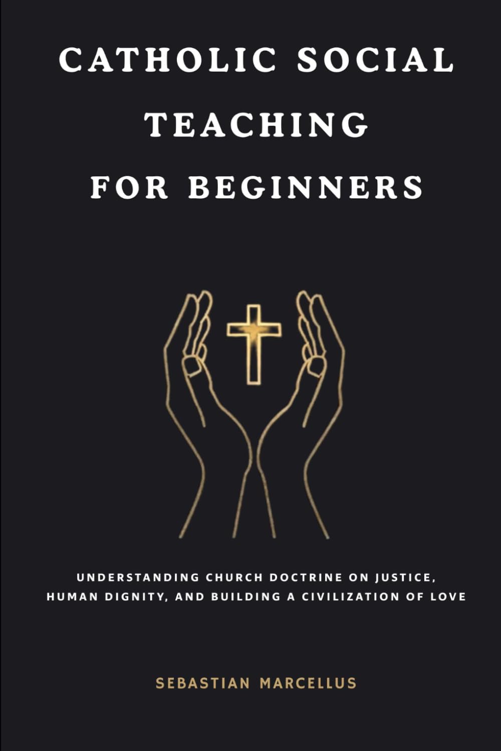 Catholic Social Teaching for Beginners: Understanding Church Doctrine on Justice, Human Dignity, and Building a Civilization of Love (Catholic Theology for Beginners Series)