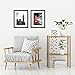 Americanflat 11x14 Picture Frame with Shatter-Resistant Glass - Set of 2 - Use as 8x10 Frame with Mat or Display 11x14 Photo Without Mat - Signature Collection - Picture Frames for Wall - Black