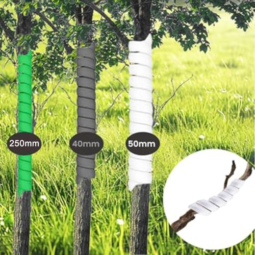 Protection de tronc d'arbre spirale plastique PP extensible 3 tailles