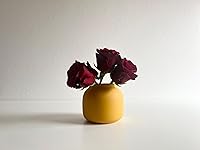 Review Image by SB SB