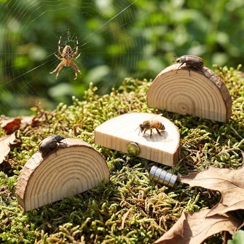 Jumping Spider Accessories, Jumping Spider Enclosure Accessories Kit Habitat Decor, 3Pcs Wood Decor, Fun Enclosure for Climbing & Hiding — 사진 3