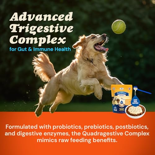 Image of CLEAR CONSCIENCE PET Arfredo SuperGravy Natural Dog Food Gravy Topper, Hydration Broth Mix, Gluten and Grain Free Kibble Seasoning Powder Topper for Picky Eaters (2.1 oz. (14 Scoop))