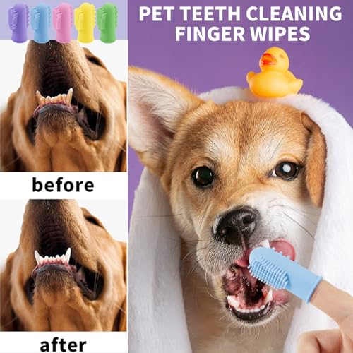 Image of Dog Toothbrush Kit，8 Pcs Dog Cat Teeth Cleaning Finger Toothbrush for Dogs,3 Sided Pet Puppy Toothbrush and Finger Brush for Small Medium Large Dogs Cats Teeth,All in One Storage Case-Purple