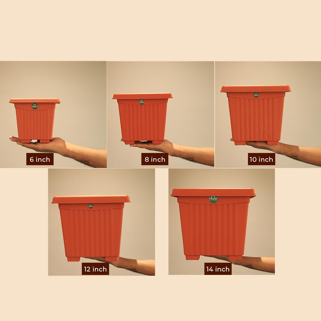TrustBasket 6 inch Square Plastic Planter with Saucer - Set of 3 - Image 5 thumbnail
