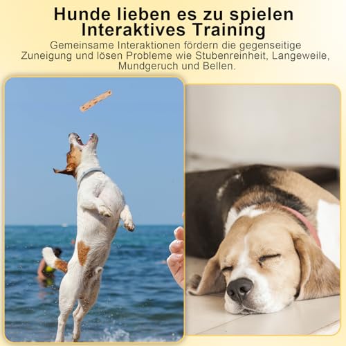 Kauknochen Hunde- Natürlicher Kaffeeholz, Holzknochen als Hundespielzeug für Welpen, 2er Pack Kauknochen Hund als Zahnpflege & Kauspielzeug, Hundezubehör für Welpen & kleine Hunde