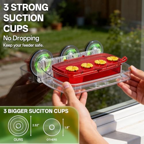 Window Hummingbird Feeder with Strong Suction Cup, Plastic Hummingbird Feeders for Outdoors, Built-in Moat,Easy to Clean and Refil (10oz) (1, Red) - 1