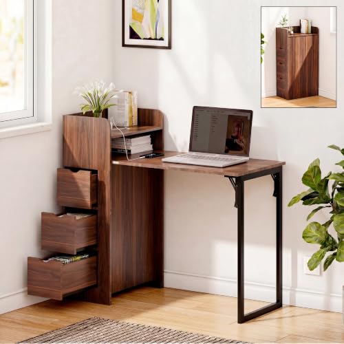 LAUSAINT HOME Wall Mounted Foldable Desk