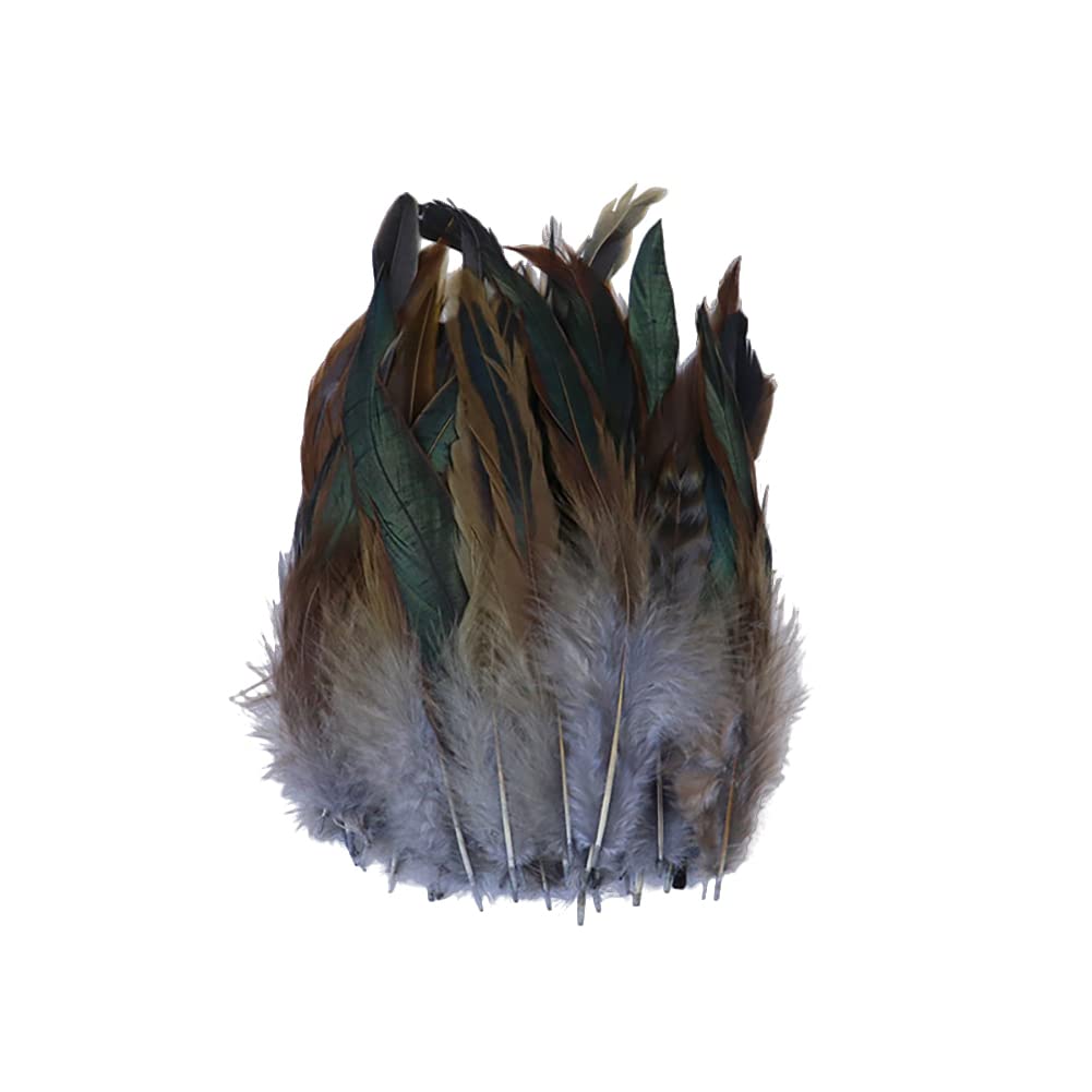 URFEDA 100 Piume Di Coda Di Gallo Naturali Colorate - Per Decorazioni Fai Da Te, Acchiappasogni, Cappelli, Maschere, Feste