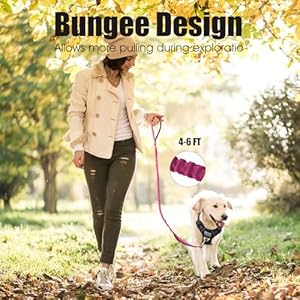 Bumbin 6ft Dog Leash Large Dogs Bungee Dog Leash with 2 Handles Heavy Duty Dog Leashes for Medium Small Dogs No Pull Shock Absorbing Dog Leash with Car Seat Belt for Training Pink  Cucciolini Doodles Bumbin 6ft dog leash large dogs bungee dog leash with 2 handles heavy duty dog leashes for medium small dogs no pull shock absorbing dog leash with car seat belt for training pink   cucciolini doodles