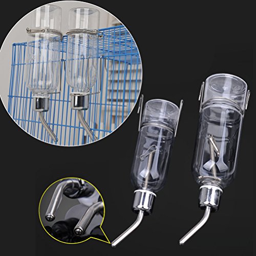 Best Guinea Pig Water Bottles The Best You can Buy in 2020