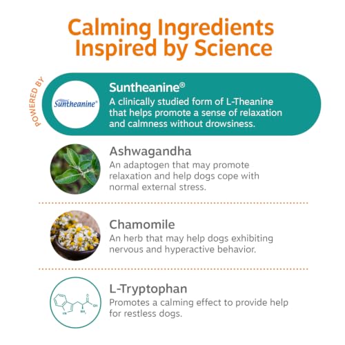 Image of Zesty Paws Calming Chews for Dogs - for Everyday Stress, Relaxation, Composure, and Separation Turkey 90 Count