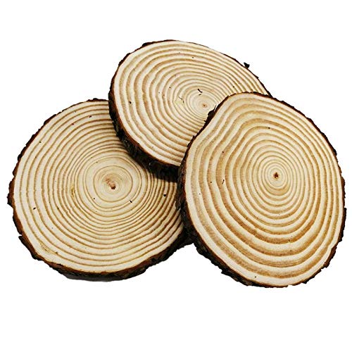Buy Large Unfinished Natural Wood Slabs Slices, 7 8 inch 3 Pieces