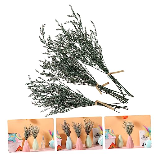 Bouquet pequeño de Gypsophila natural seca para decoración miniatura 3