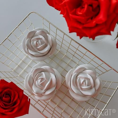 Image of Kitty Cat Aesthetic Soy Wax Scented Candles | Reusable Concrete Sea Shell Jars | Vanilla Aroma | 12+ Hours Burn Time | Perfect Home Decor for Bedroom, Office & Hostel (Eternal Bloom Candle)