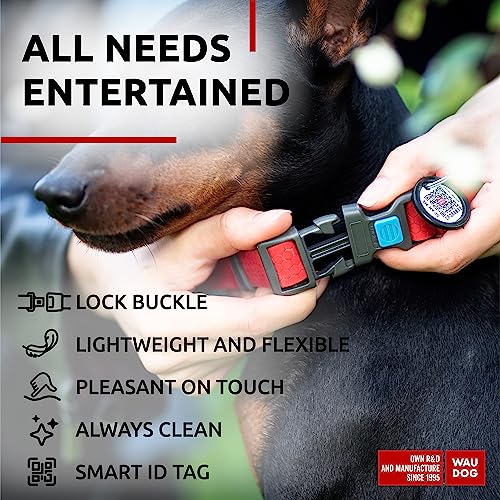 Collar impermeable para perro WAUDOG ajustable miniatura 5