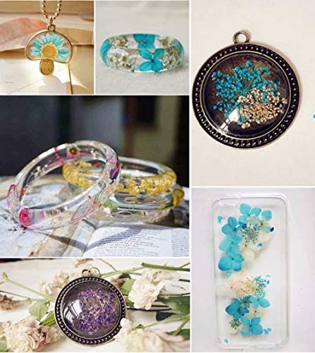 Flores secas prensadas reales para manualidades, 65 piezas miniatura 4