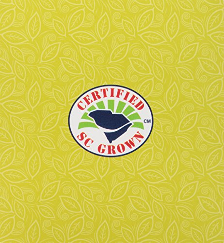 Island Green Pyramid Teabags, 12 Count #TOP3