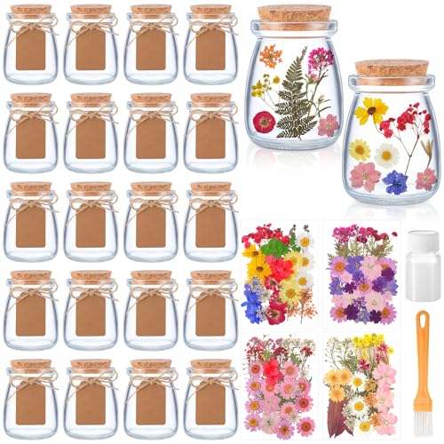 Set de 162 piezas de flores secas y frascos de vidrio con tapón miniatura 1