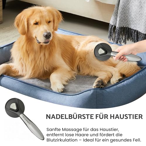 Rebongki Hundefön Blower Hund Profi Hundeföhn mit Einstellbarer Windgeschwindigkeit Handheld Hundefön Trockenmaschine Trockner für Haustiere Haustiertrockner 2 Schläuche 3 Temperatureinstellungen