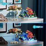 Funwhole Turtle Reef Ensemble d'éclairage de rêve pour briques - 835 Pcs Ocean Plants Collection Idées Set pour adultes et adolescents