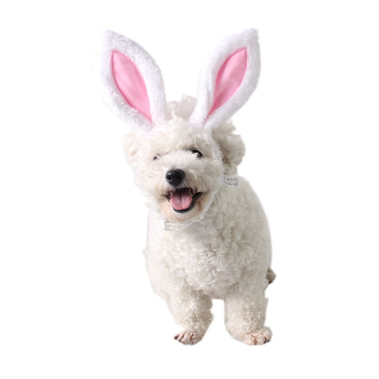 Holibanna Bandes pour Animaux de Compagnie avec Oreilles de Lapin Accessoire Cosplay pour Chiens et Chats S pour Halloween et Fêtes
