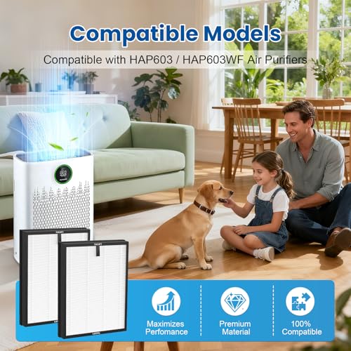 Image of 2 PACK HAP603 Replacement Filter for ECOSELF HAP603 HAP603WF Air Purifier