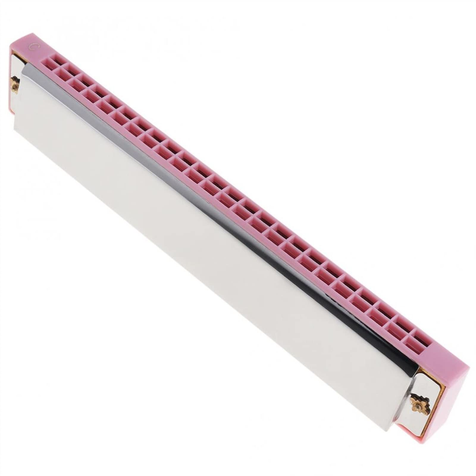 24 Fori in Acciaio Inossidabile Rosa Tremolo Armonica Arpa Armonica A Bocca per Bambini Studenti E Principianti Armonica per Principianti
