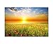 Produktbild 120x80cm - Fotodruck auf Leinwand und Rahmen Feld Gras Mohnblumen Himmel Sonne - Leinwandbild auf Keilrahmen modern stilvoll - Bilder und Dekoration