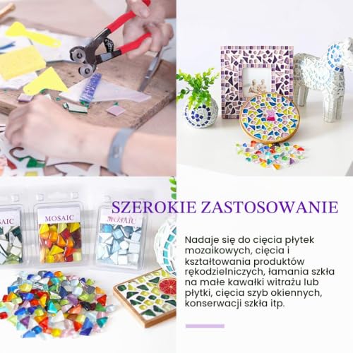 Swpeet 9 szt. zestaw narzędzi do mozaiki, w tym wytrzymałe szczypce do cięcia mozaiki szklanej i szczypce do płytek, 2 szt. skrobaków, 2 szt. pęsety, 1 x hak dwustronny, 1 szpatułka z 1 gąbką do