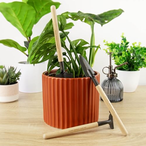 Kit Miniatura Cuidado de Plantas Gift Republic miniatura 7
