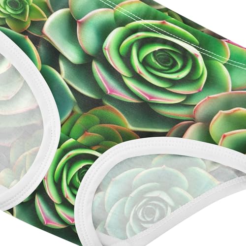 Toddler Girls Underwear 2t Cotton Panties for Girl Durable Underpants Briefs Succulent Plants Rosettes Green4