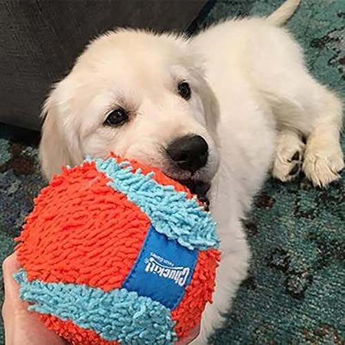 Chuckit! Indoor Ball For Dogs Soft Dog Toy Puppy Chew Toy Fetch Dog Ball