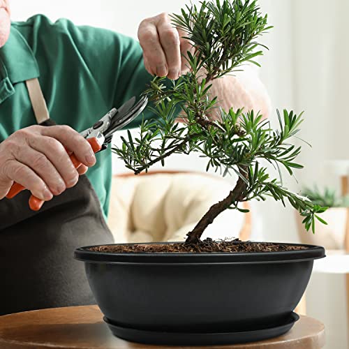 Livzing 15inch Pack of 5 Bonsai Flower Pot with Tray - Virgin Planter Pots with Drain Holes – Indoor Outdoor Balcony Gardening Pots - Oval Shaped Grow Pots for Plants - Black