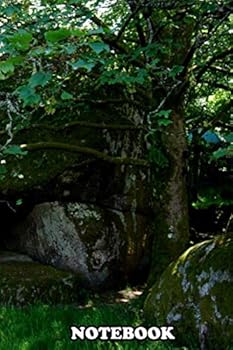 Paperback Notebook: Blocked Path , Journal for Writing, College Ruled Size 6" x 9", 110 Pages Book