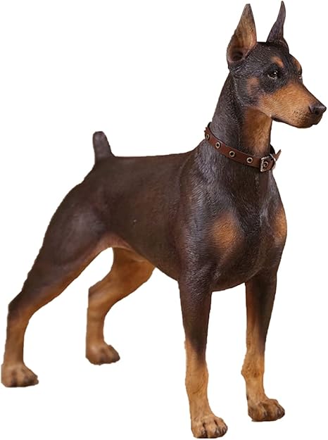 Amazon Mr Z 1 6 サイズ ドーベルマン ドーベルマン ピンシャー 犬 動物 リアル フィギュア Pvc プラモデル プレミアム おもちゃ 模型 18 2cm級 オリジナル スタチュー 塗装済 完成品 犬好き 誕生日 プレゼント 置物 道具 001 フィギュア ドール 通販 Amazon Mr Z 1 6 サイズ ドーベルマン ドーベルマン ピンシャー 犬 動物 リアル フィギュア Pvc プラモデル プレミアム おもちゃ 模型 18 2cm級 オリジナル スタチュー 塗装済 完成品 犬好き 誕生日 プレゼント 置物 道具 001 フィギュア ドール 通販