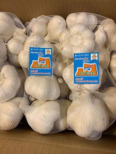 福地ホワイト六片種 青森ニンニク 種」の人気商品一覧・価格比較