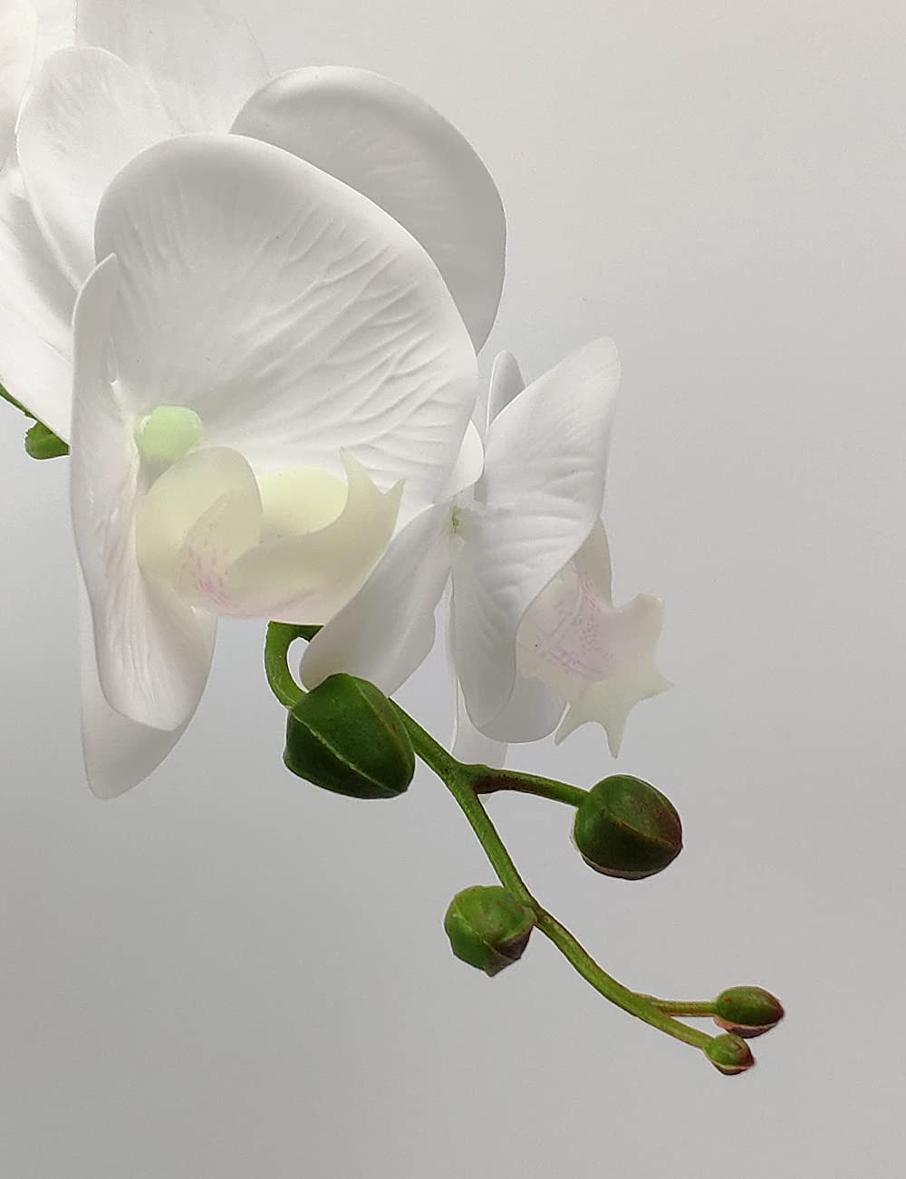 W&W Artificial Orchid Plants & Flowers Arrangement in Ceramic Pot, Fake